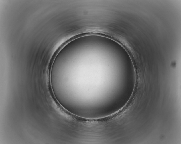 X0000089341032200706221113