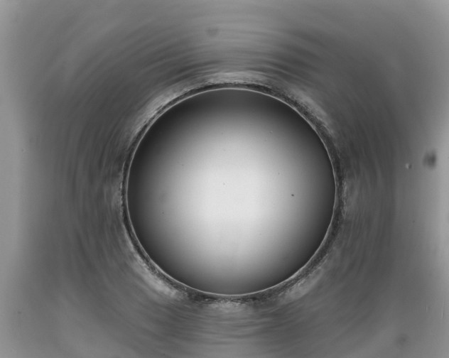 X0000089341033200706221113