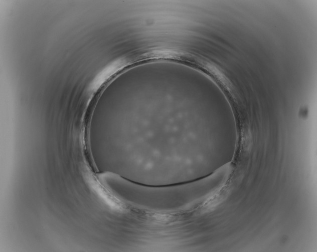 X0000089341034200706221113