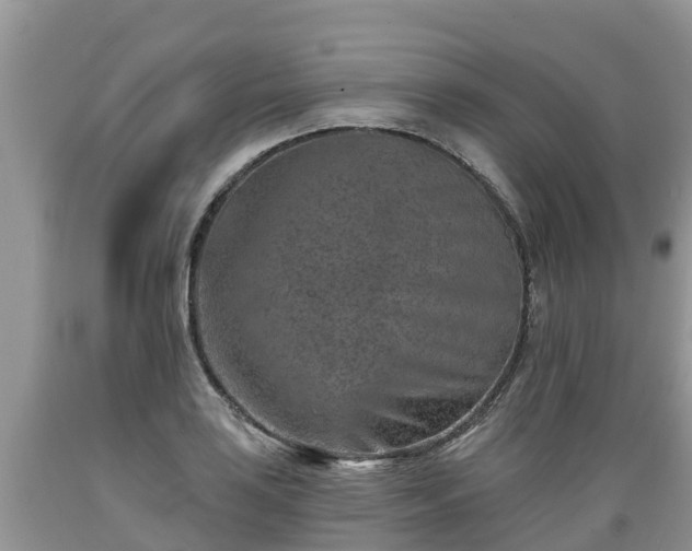 X0000089341035200706221113