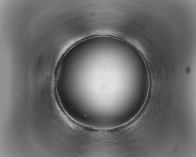 X0000089341040200706221113