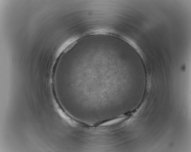 X0000089341042200706221113