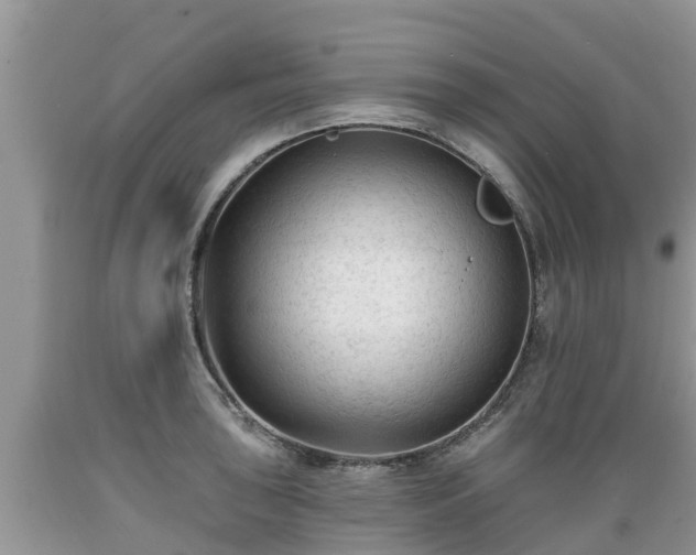 X0000089341043200706221113