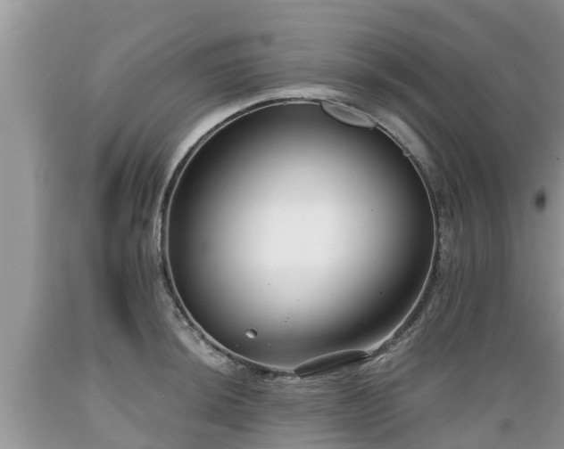 X0000089341044200706221113