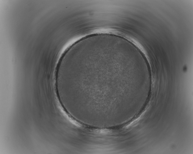 X0000089341045200706221113