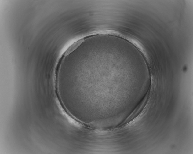 X0000089341046200706221113