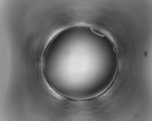 X0000089341048200706221113
