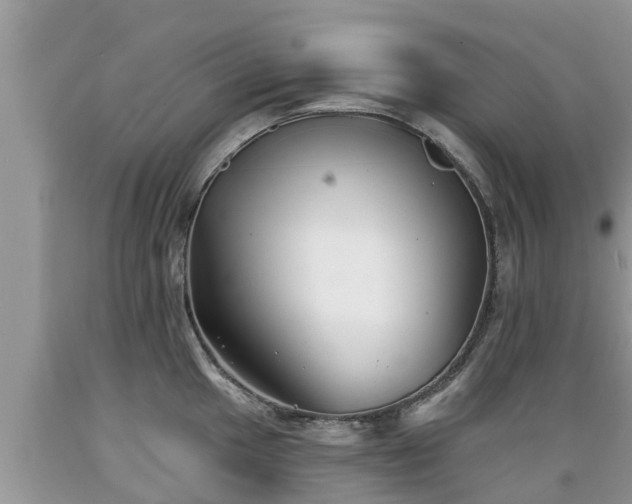 X0000089341049200706221113