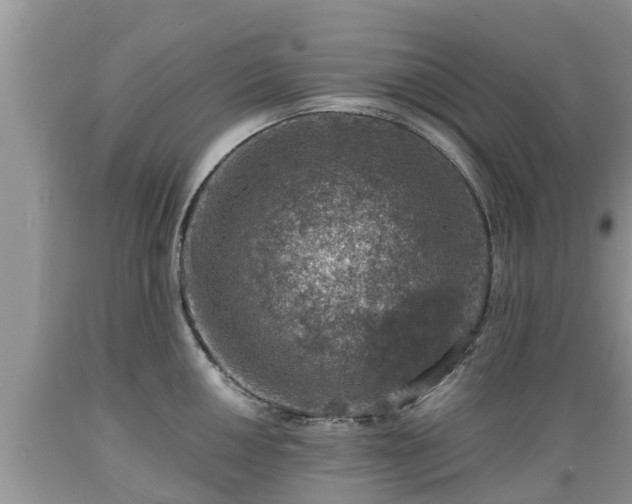 X0000089341050200706221113