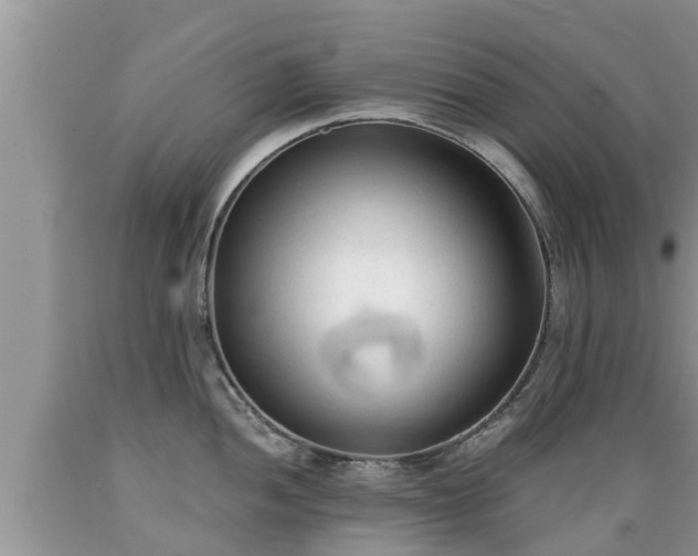 X0000089341052200706221113