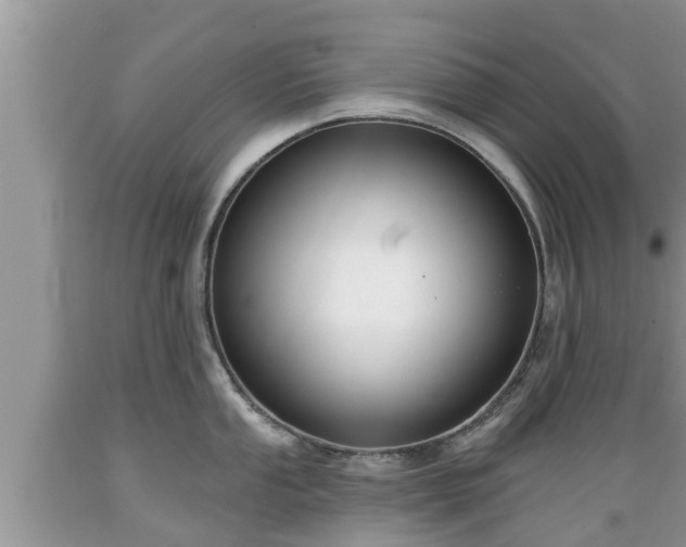 X0000089341053200706221113