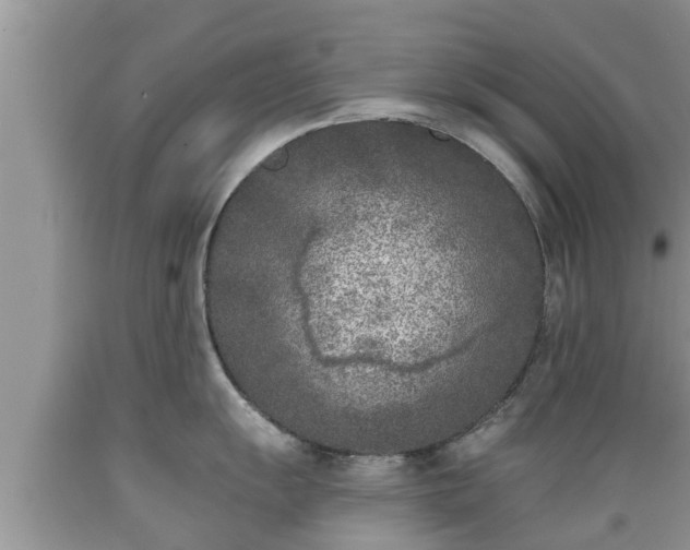 X0000089341055200706221113