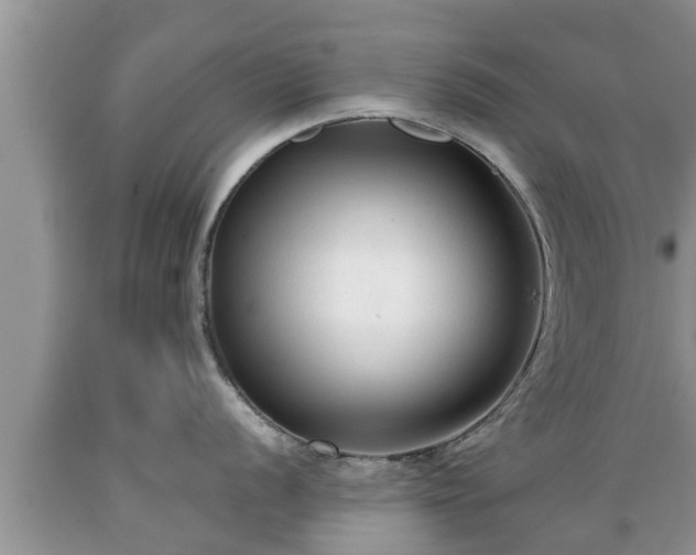 X0000089341056200706221113
