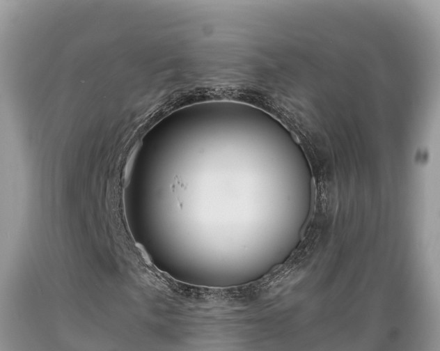 X0000089341057200706221113