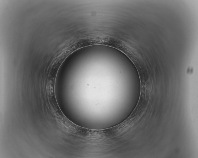 X0000089341058200706221113