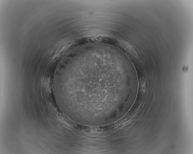 X0000089341060200706221113