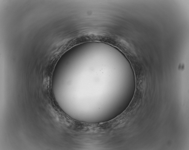 X0000089341061200706221113