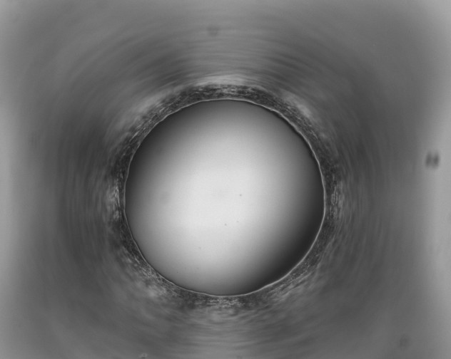 X0000089341062200706221113
