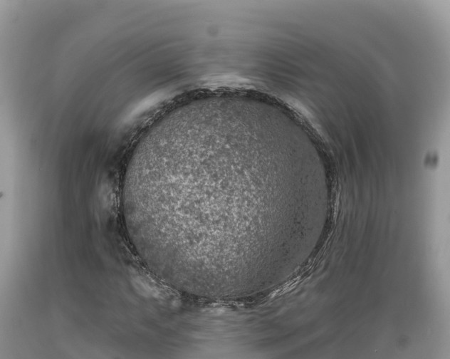 X0000089341063200706221113
