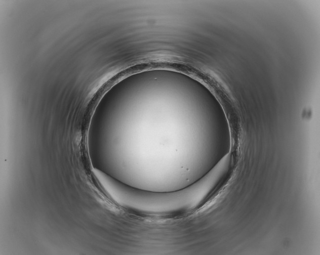 X0000089341065200706221113