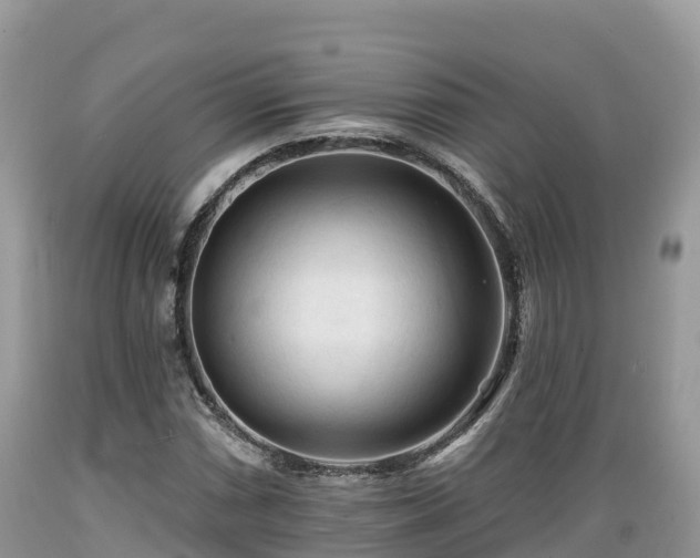 X0000089341066200706221113