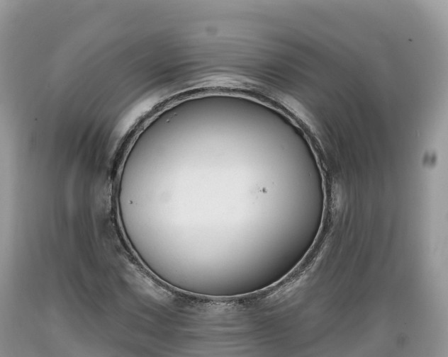 X0000089341067200706221113