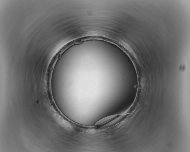 X0000089341068200706221113