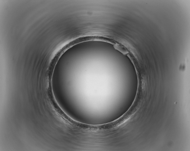 X0000089341069200706221113