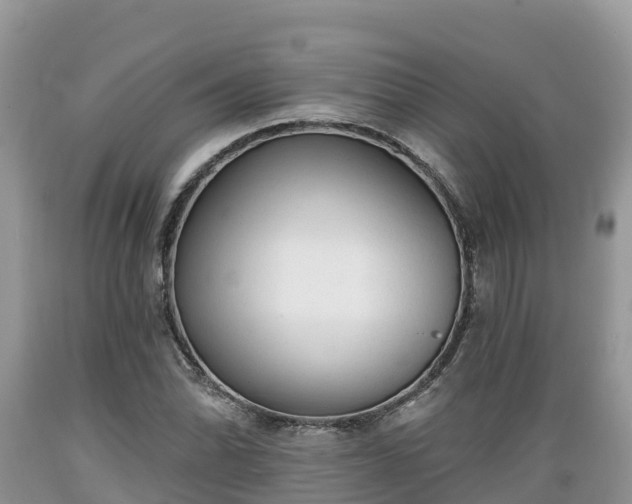 X0000089341070200706221113