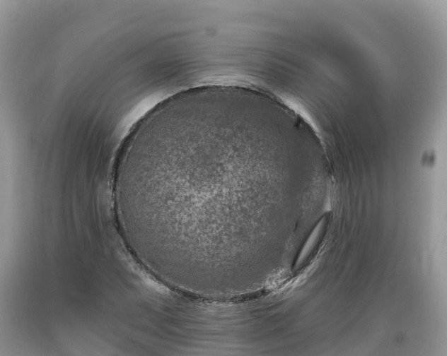 X0000089341071200706221113