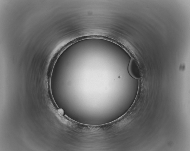 X0000089341072200706221113