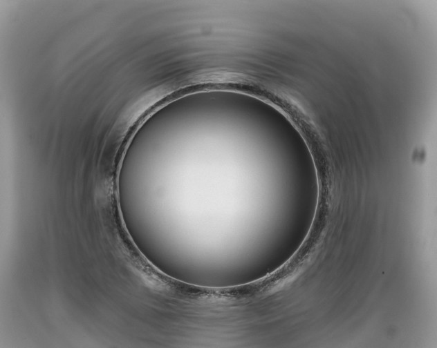 X0000089341073200706221113