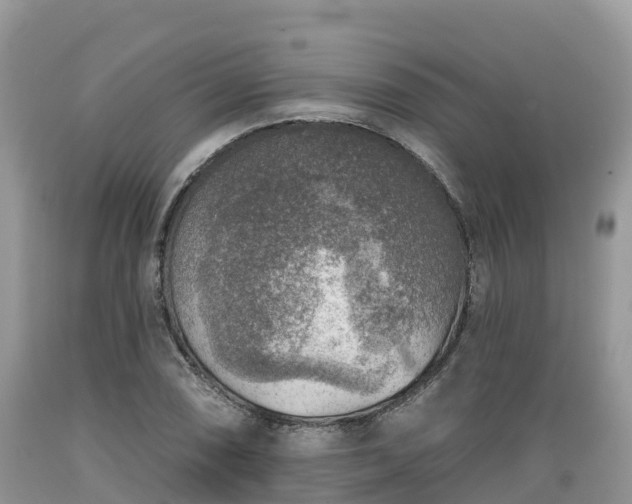 X0000089341074200706221113