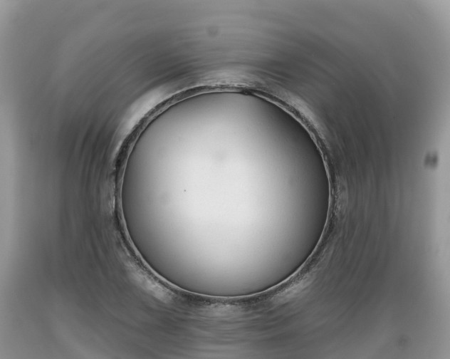 X0000089341075200706221113