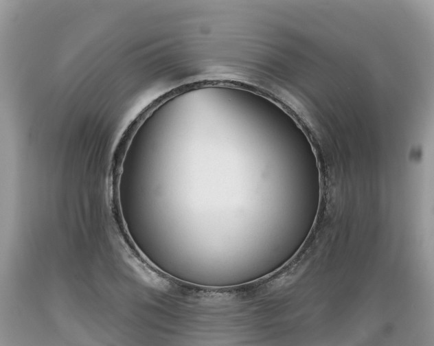 X0000089341076200706221113