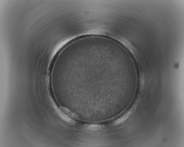 X0000089341077200706221113