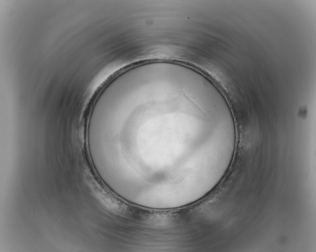 X0000089341078200706221113