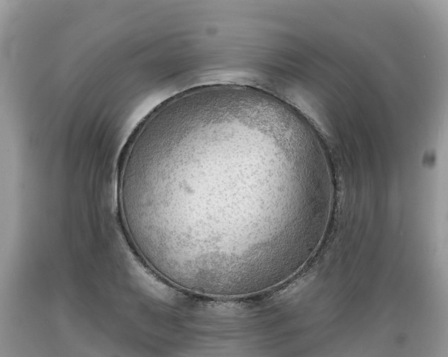 X0000089341079200706221112
