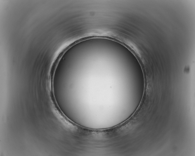 X0000089341080200706221112