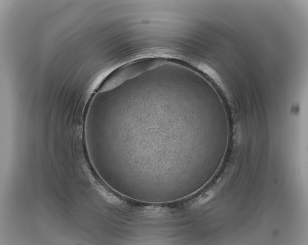 X0000089341081200706221112