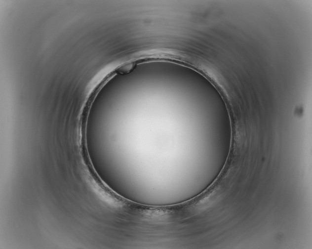 X0000089341082200706221112