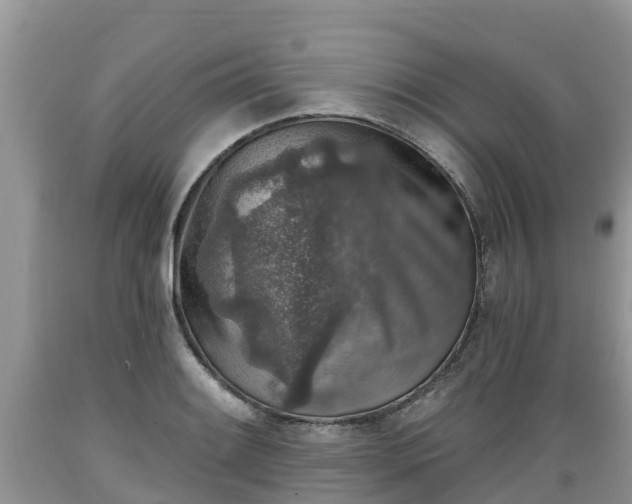 X0000089341084200706221112