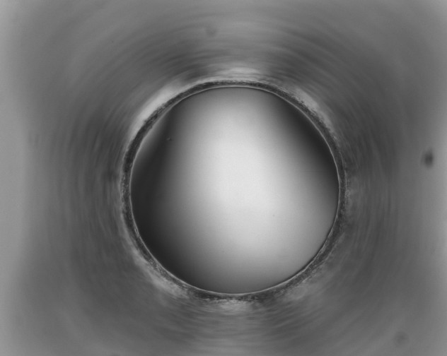 X0000089341085200706221112