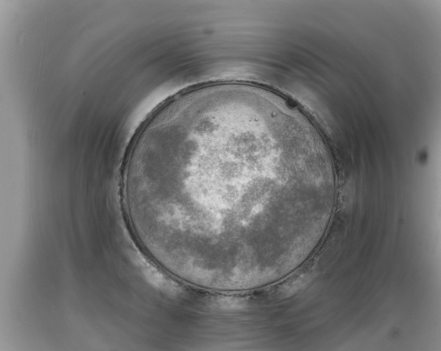 X0000089341086200706221112