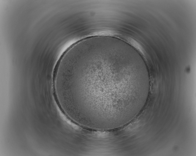 X0000089341087200706221112