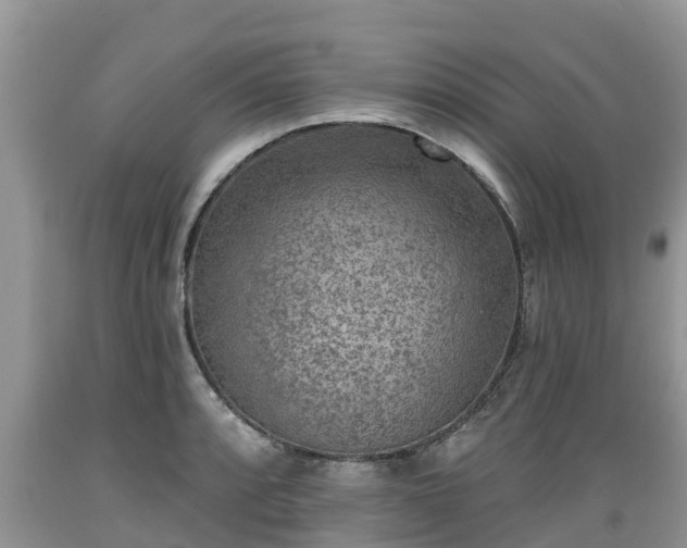 X0000089341088200706221112