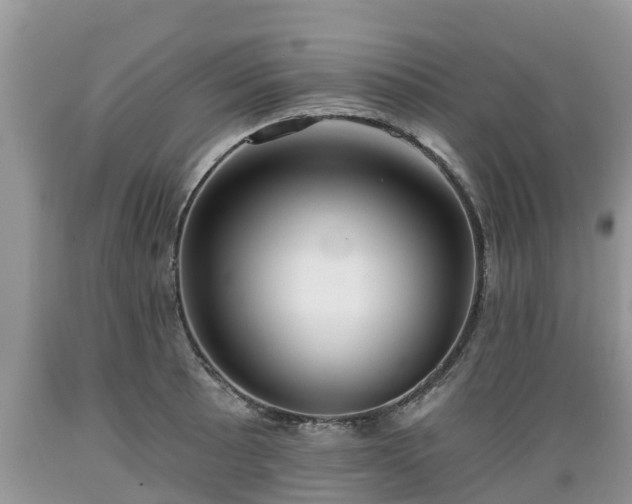 X0000089341089200706221112