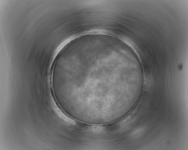 X0000089341090200706221112
