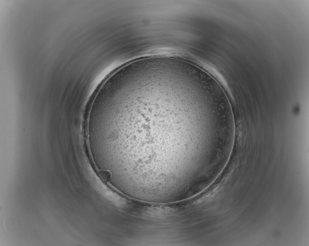 X0000089341091200706221112