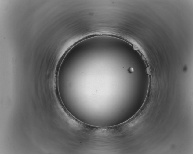 X0000089341093200706221112